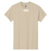 Heavy Cotton ™ 100% Cotton T Shirt Thumbnail